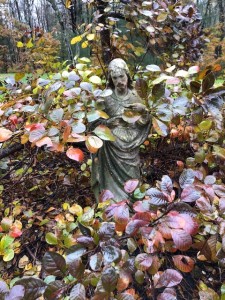 jesus in bushes